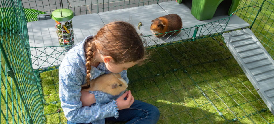 Ein Mädchen hält im Zippi Laufstall ein Meerschweinchen auf dem Arm