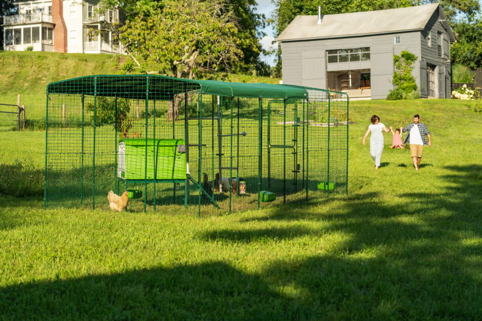 Ein Eglu Cube in einem Walk In Gehege in einem Garten