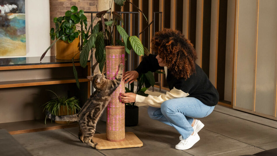 Eine Frau spielt mit einer Katze auf dem Omlet Switch Kratzstamm