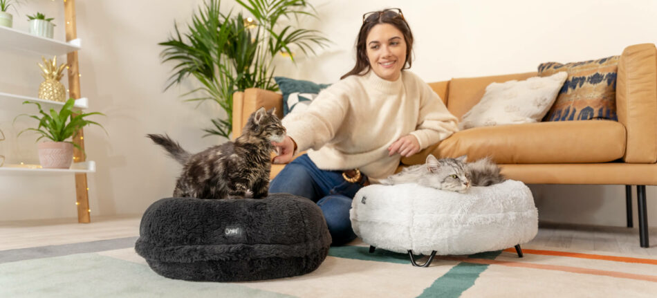 Eine Frau streichelt Katzen, die auf Maya Donut Katzenbetten sitzen