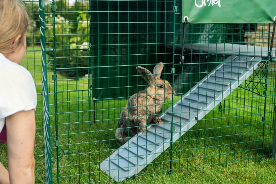 Eine Kaninchenhalterin schaut ihrem Kaninchen auf der Zippi Plattform im Outdoor Kaninchengehege zu