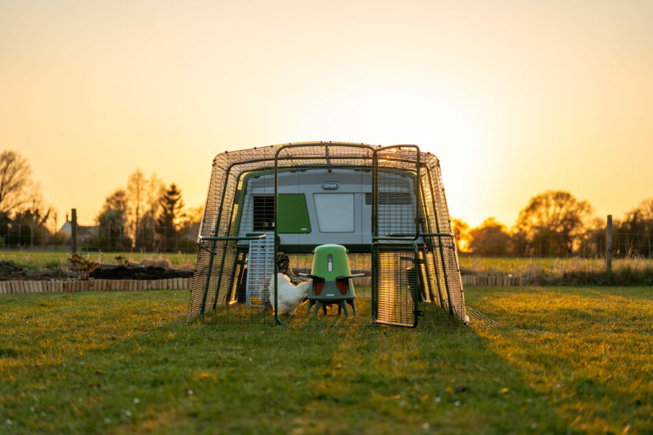 Eglu Pro Hühnerstall und der Intelligente No-Waste-Futterautomat von Omlet bei Sonnenaufgang