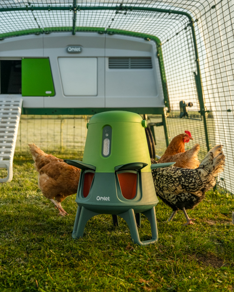 Omlet Smart No Waste Feeder in einem Profi-Hühnerstall, umgeben von Hühnern 
