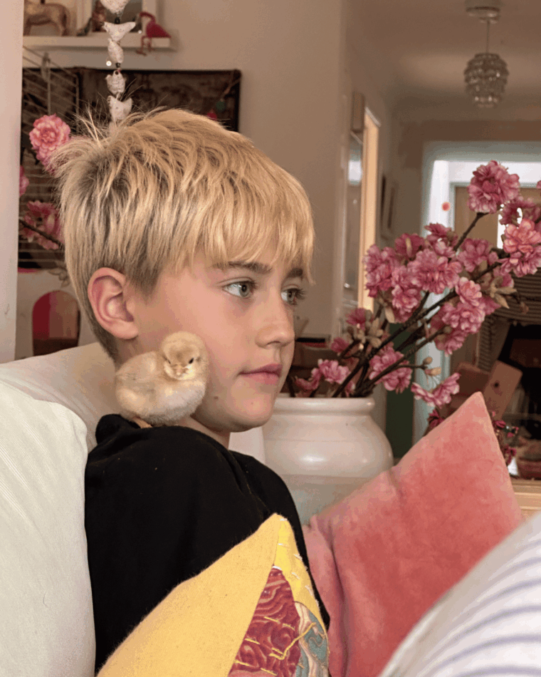 Ein blonder Junge mit einem Küken auf der Schulter