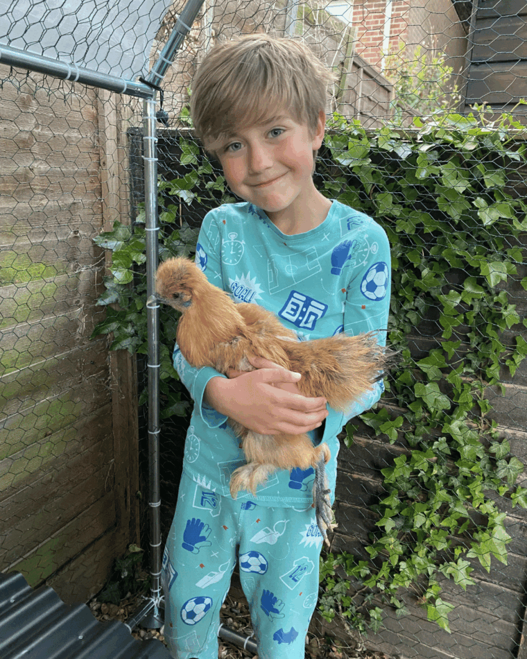 Ein kleiner Junge hält ein Huhn auf dem Arm