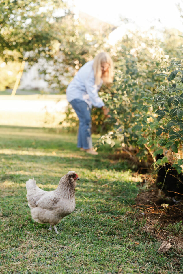Eine Frau kümmert sich um ihren Garten, während ein Huhn im Gras entlangstrolcht