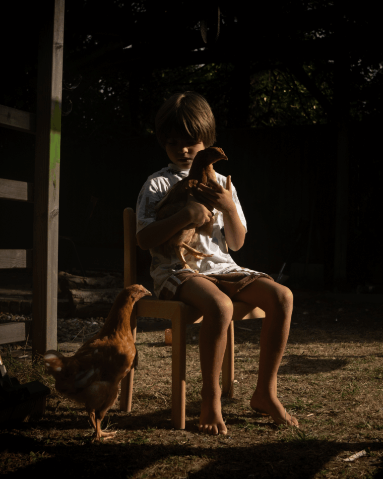 Ein Huhn auf dem Schoß eines Kindes, nicht weit ist ein weiteres Huhn